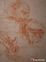VBS_0035 - Mostra Nel segno di Raffaello